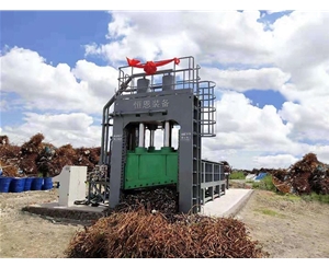 660型龍門剪切機